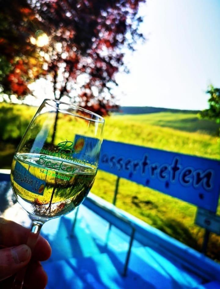 Apartamento Ferienweingut & Gutsrestaurant Becker Burgen  Exterior foto